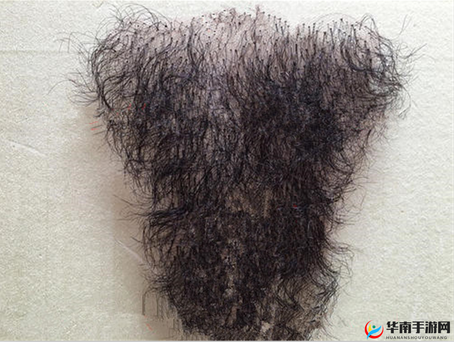 中国妇女裸体毛毛多：探讨女性身体自主权与隐私保护的重要性