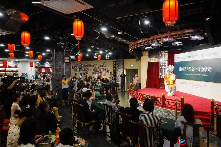 试看体验区 60 秒:开启精彩体验之旅