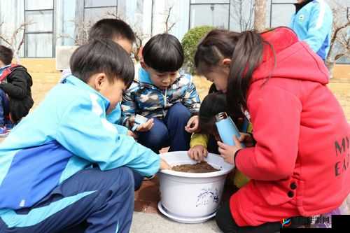 小诗的公交车日记半煤化工写作方法之相关思考与感悟