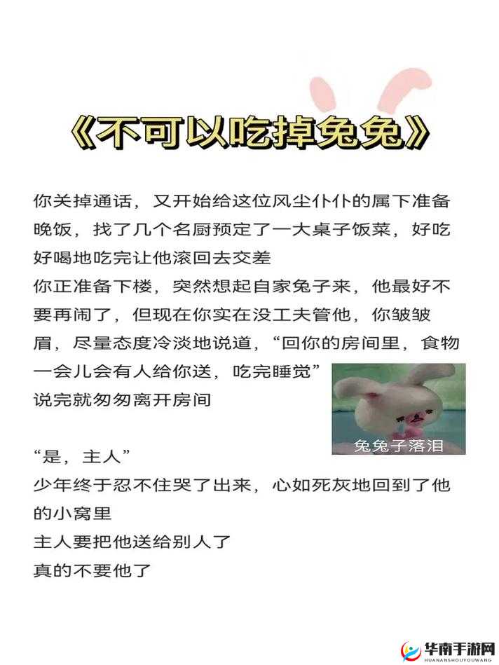 人与兽之间的奇妙纠葛与震撼碰撞