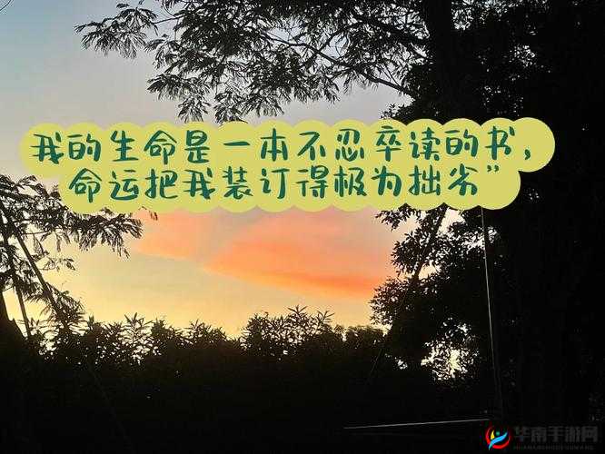 一层一层剥开我的衣服啊：揭秘真相的探索之旅