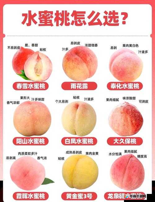 水蜜桃着色入口：探寻甜蜜果实背后的色彩魔法