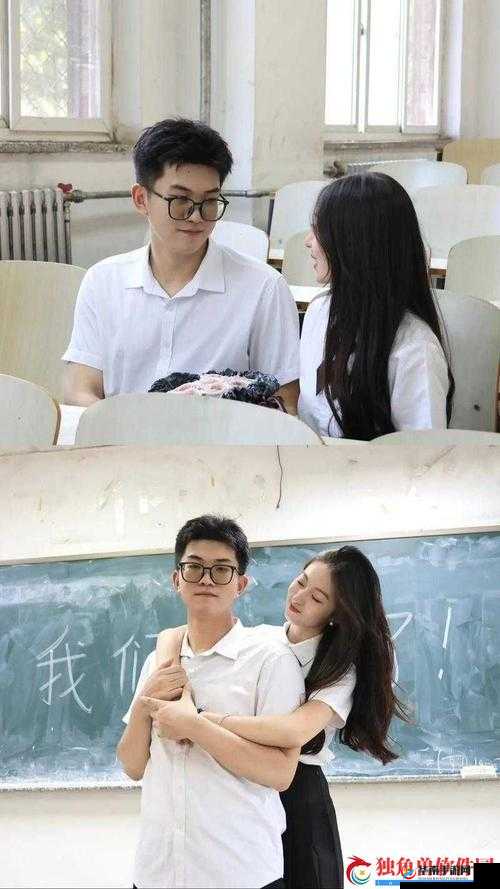 校园绑定 jy 收集系统宋涵：一场引人深思的网络事件