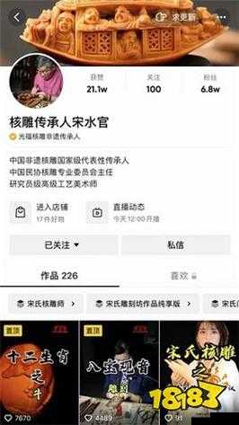 100 短视频软件安装：带你开启精彩短视频之旅