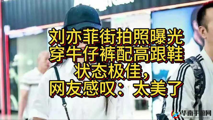 17.c起草旧版:对其历史意义与潜在价值的深入剖析