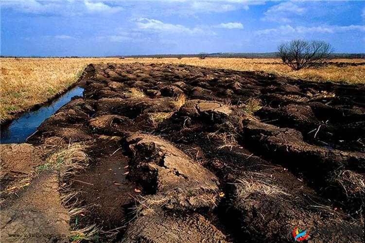 开垦母亲肥沃的土地：探寻其背后的深远意义与价值追求
