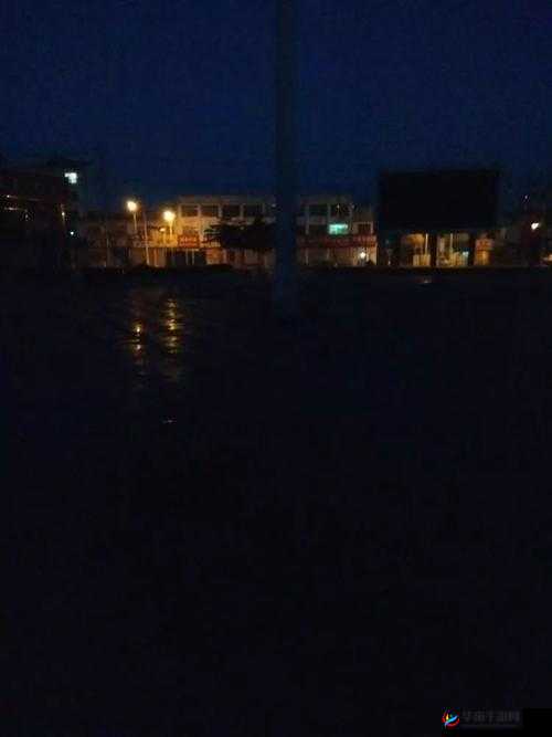 凌晨三点播放的视频叫什么：揭秘神秘世界的大门