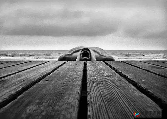 含羞草人体艺术：独特艺术视角下的奇妙展现