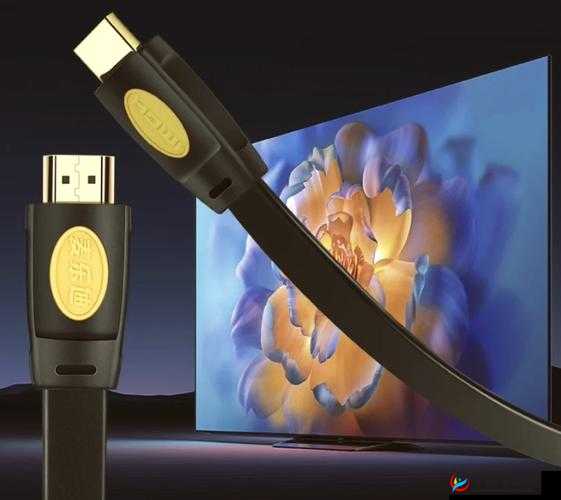 xbox 播放高清影片：在家中畅享极致视觉体验