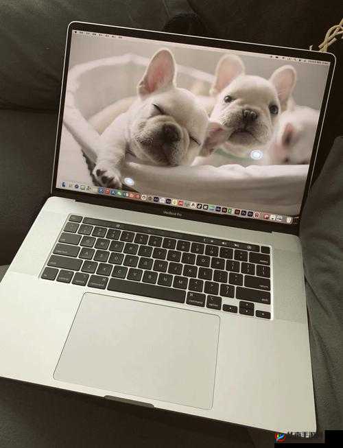 19 岁 macbookpro 未满 16 岁这一情况该如何应对和处理