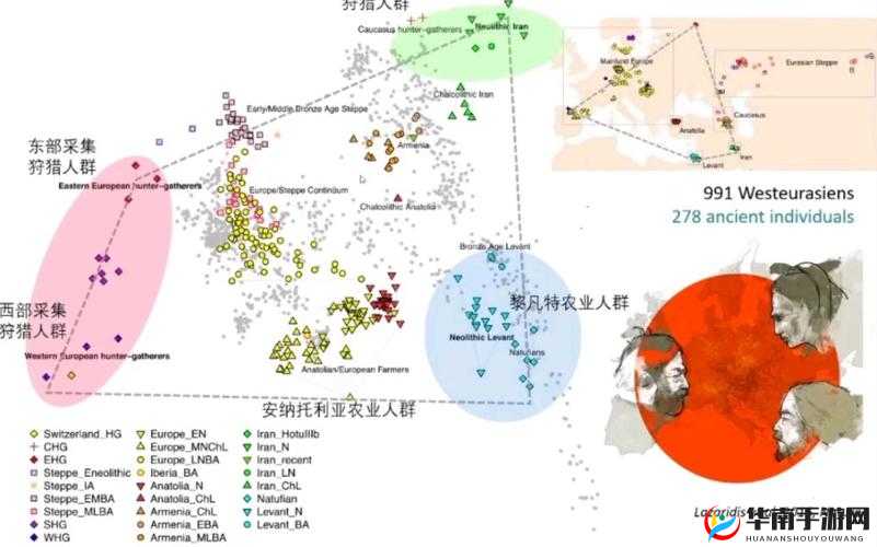 欧洲人与亚洲人 DNA 对比:差异与共性探究