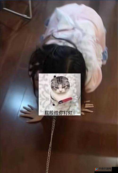 费爵娜跟踪迷奸 O 母狗并实施强制捆绑调教与激情狂操