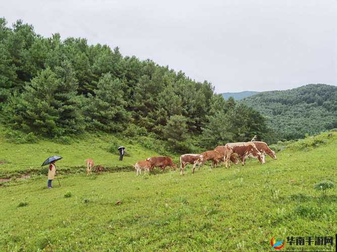 马踏千军粮农牧场玩法介绍，休整战事