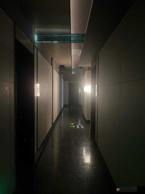 EEUSS 影院 WWW 免费最天堂:畅享极致观影体验