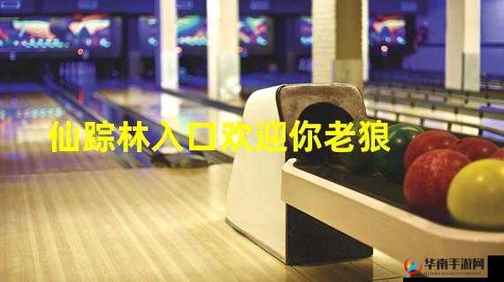 仙踪林入口视频欢迎你:探寻神秘仙境的奇妙之旅