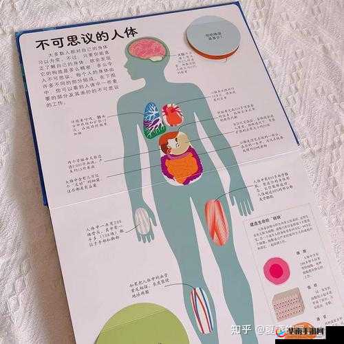 六六人体：探索身体奥秘与健康生活的全方位指南