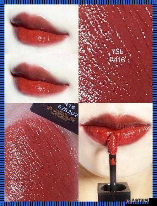 YSL 千色 T9T9T9 ：探索魅力色彩的无限可能