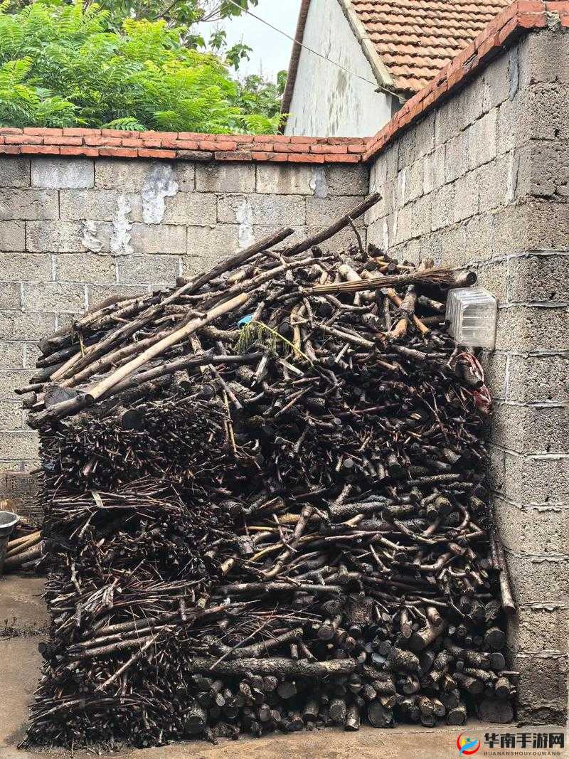 柴火垛里的疯狂最经典的一句：那是一段无法忘怀的记忆