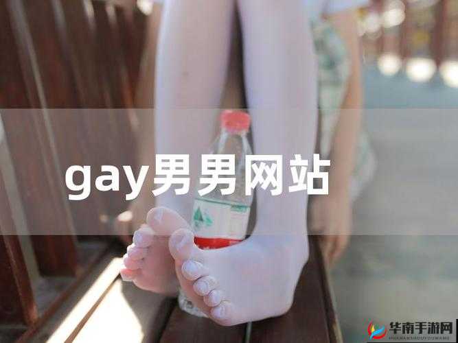 男男 gaygay 拳头：展现独特力量与情感的象征