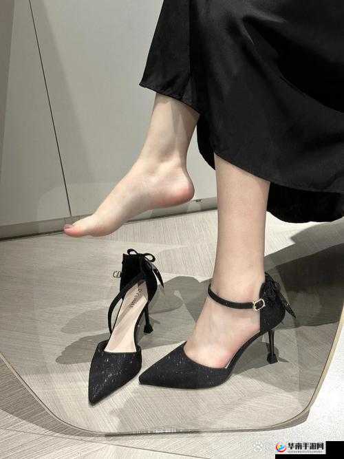 高跟儿 xxxxxHD：关于它的详细介绍与全面解析