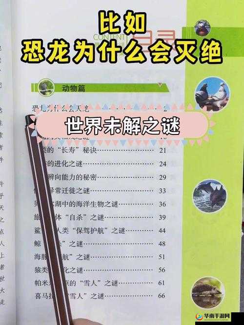 毛多多啊啊啊的精彩冒险故事：探索未知世界