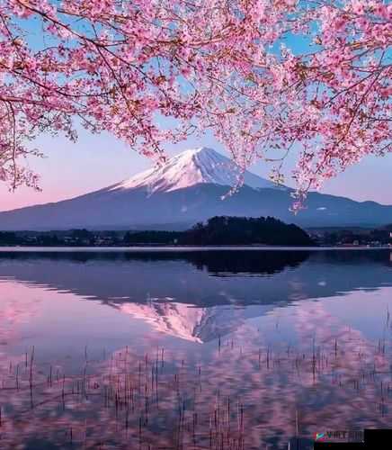 嗯啊日本的独特魅力与精彩呈现