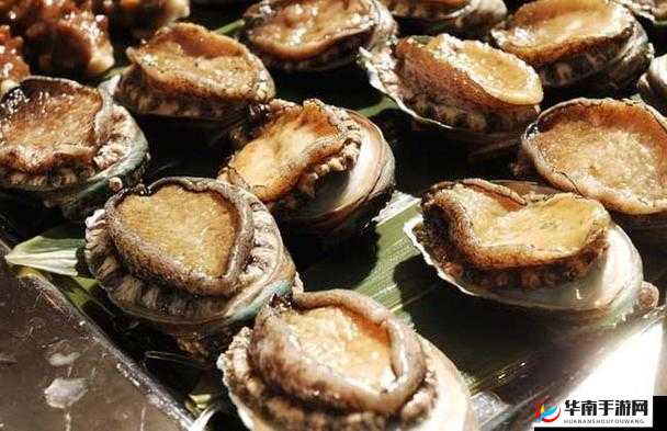 鲍鱼直播:探秘海洋珍馐背后的精彩与神秘