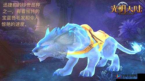 光明大陆，驰骋之旅，坐骑选择的艺术与策略