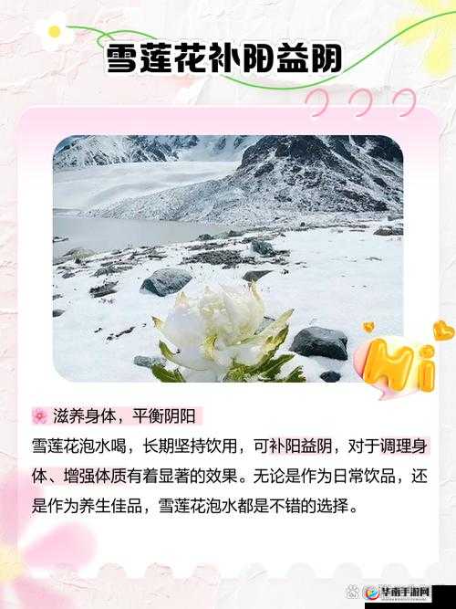 除了添花核心流水喝还是喝好,你还能有其他选择吗