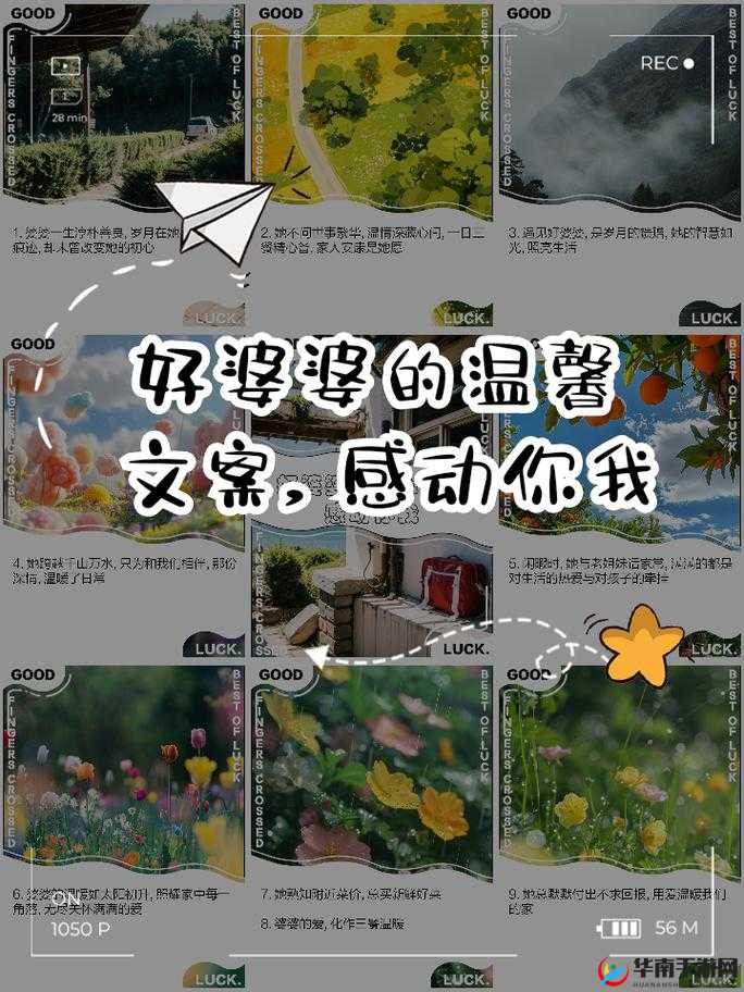 老公：婆婆，您身上好温暖啊