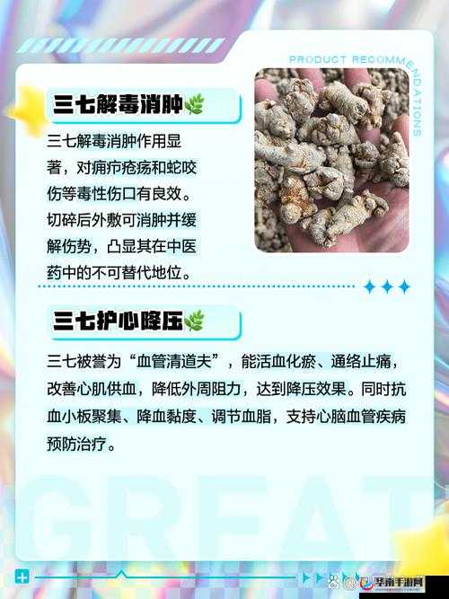 三七大但人文艺术免费：关于其内涵与价值的深入探讨