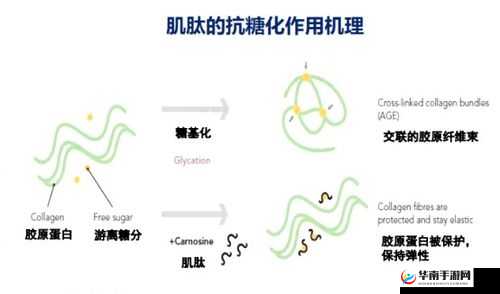 精产国品一二三产区区别手机：品质与产地的奥秘