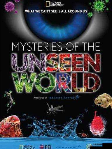 欧美乂乂乂:揭示未知的神秘世界