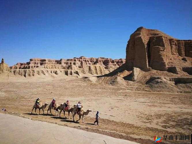 铜锵锵锵锵锵锵：奏响历史的壮丽乐章