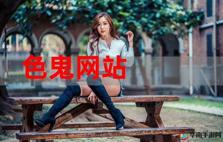 色鬼导航：带你领略不一样的网络世界