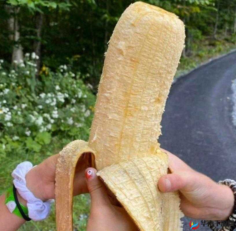 老色鬼大香蕉久久：揭秘成人世界的神秘面纱