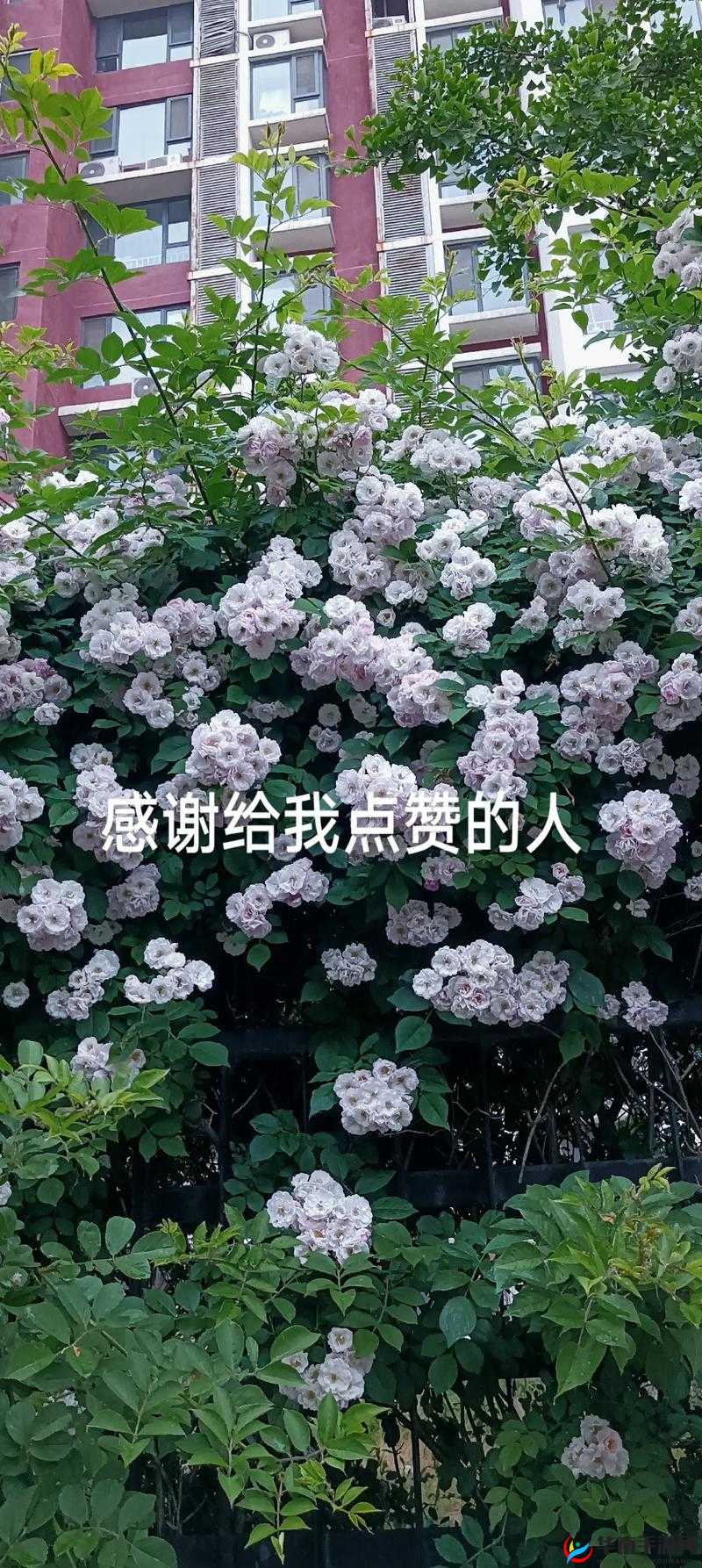 深夜网站：它的独特魅力让你定会回来感谢我