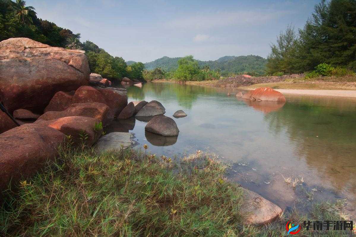 272ebh 仙踪林：探寻那独特的神秘之境