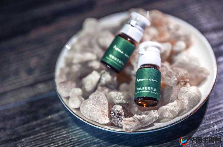 绿乳插插激情：一场充满激情与活力的奇妙体验