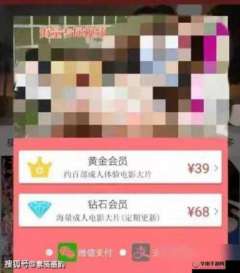 免费网站懂我意思 WWW 不用下载：提供便捷的服务体验