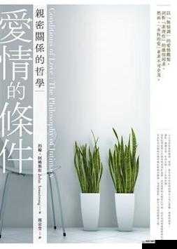 肉肉的小黄车：见证爱情的起点