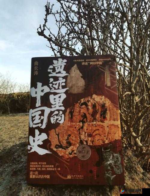 中国考古又一重大发现：69XⅩⅩⅩ的秘密