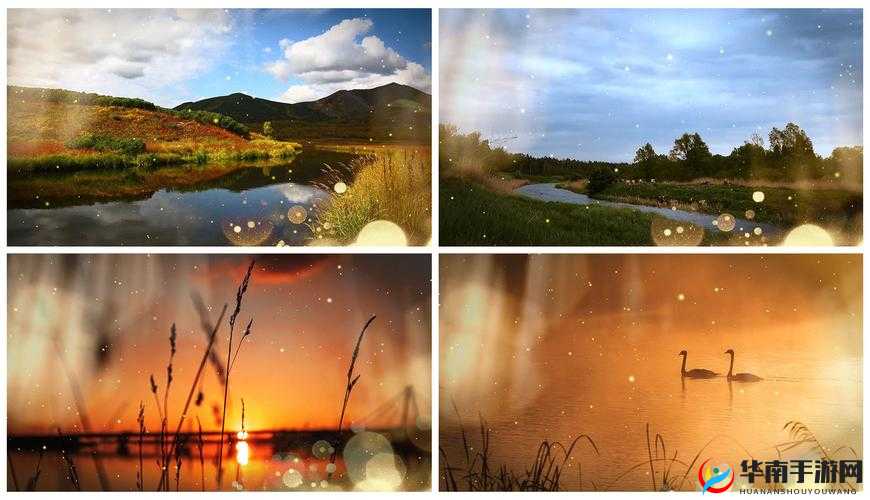 青青河边草直播免费观看但需注意版权问题和观看环境