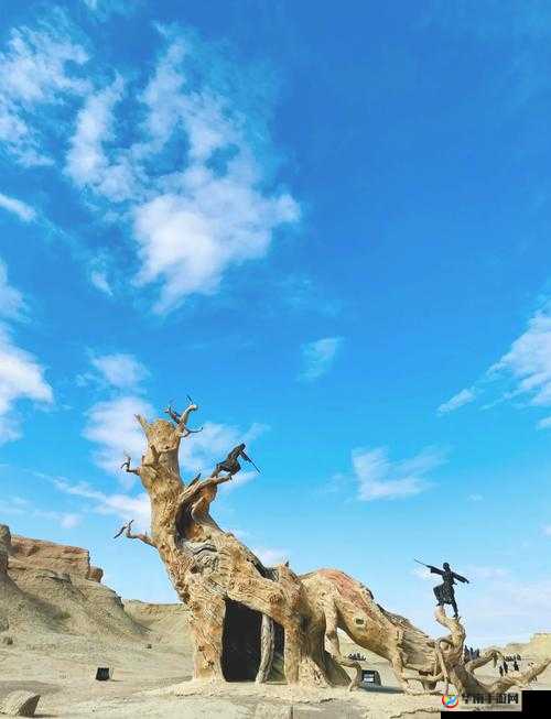 草丛里的秘密：神秘世界的探险之旅