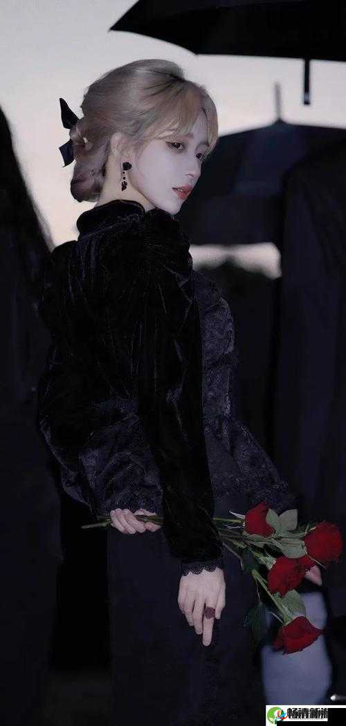 成色好的 y31：一款令人心动的优质产品介绍