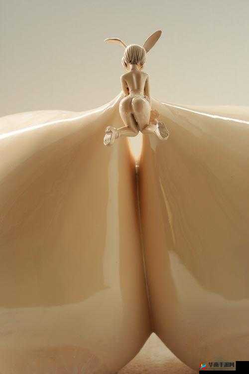 台湾佬大咪咪网:独特视角探秘别样风情