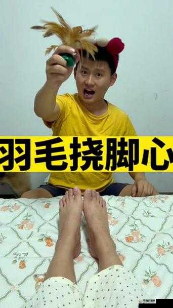 羽毛划过脚掌心那独特的奇妙体验