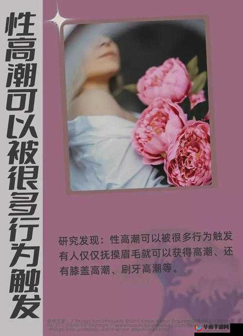 岳的好紧爽：揭秘女性性快感的秘密