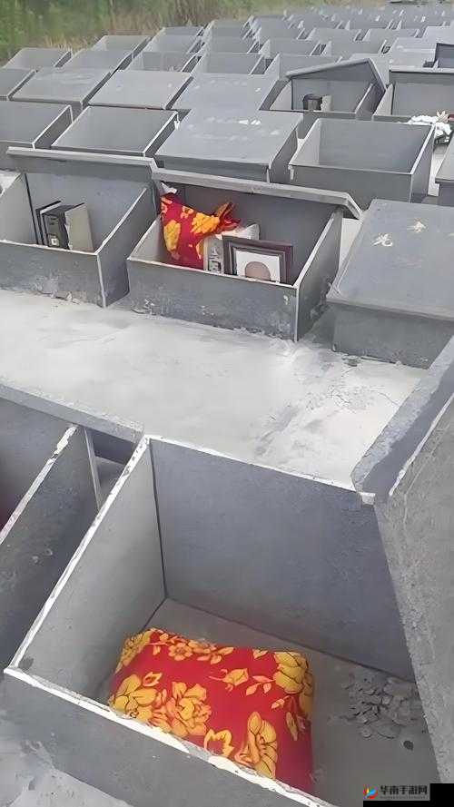 令人震惊的 100 岁老太婆裸交事件,究竟为何?