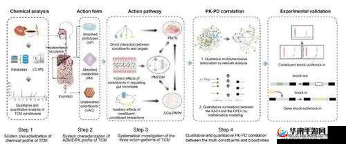 17c16.cv 相关内容的独特阐释与探讨